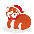 Cute animal in Santa Claus hat have fun Royalty Free Stock Photo