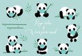 Cute animal social ditancing collection with panda is wearing mask.Vector illustration for prevention the spread of bacteria,