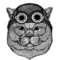 Cute animal wearing motorcycle, aviator helmet British noble cat Male Hand drawn image for tattoo, emblem, badge, logo