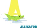 Cute Animal Zoo Alphabet. Letter A for alligator