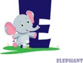 Cute Animal Zoo Alphabet. Letter E for elephant Royalty Free Stock Photo