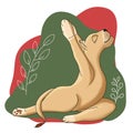 Cute animals of Africa in yoga and meditation pose. Digital illustration, hand-drawn by isolates