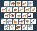 Cute Animals alphabet cards for kids education Royalty Free Stock Photo