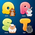 Cute Animals and Birds in Alphabetical Order