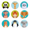 Cute animals in colored round badges