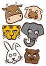 Cute animals faces