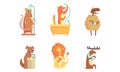 Cute Animals Grooming Bathing and Washing in the Bathroom Vector Set