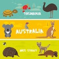 Cute animals set, Echidna koala Platypus ostrich Emu Cockatoo parrot turtle kangaroo dingo crab kids background Australia, Tasmani Royalty Free Stock Photo