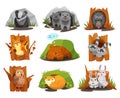 Cute animals sitting in burrows and hollows set, badger, wolves cubs, hedgehog, squirrel, bear cub, raccoon, owlet, fox Royalty Free Stock Photo