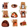 Cute Animals Sitting in Burrows and Tree Hollows Vector Set Royalty Free Stock Photo