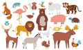 Cute animals. Wood, farm and jungle animals, fox, lion, bear, elk, deer, tiger and ship. Wild forest fauna animals