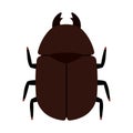 Flat Stag Beetle Insect Animal Animated PNG Illustration