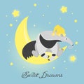 Cute ant-eater on the moon. Sweet dreams Royalty Free Stock Photo