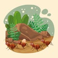 Cute ant insect characters on the groind with leaves Vector Royalty Free Stock Photo