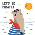 Cute anteater pirate Royalty Free Stock Photo