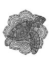 Turtle Mandala Coloring Pages for Adults