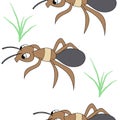 Cute ants. seamless stock vector pattern