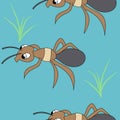 Cute ants. seamless stock vector pattern Royalty Free Stock Photo