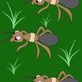 Cute ants. seamless stock vector pattern