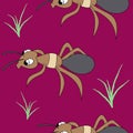 Cute ants. seamless stock vector pattern Royalty Free Stock Photo
