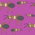 Cute ants. seamless stock vector pattern Royalty Free Stock Photo