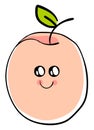 Cute apricot, illustration, vector