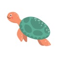 Cute aquatic turtle. Royalty Free Stock Photo