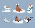 Cute Arctic Animal from Northern Pole Vector Set Royalty Free Stock Photo