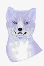 Cute arctic fox portrait with large fluffy ears Royalty Free Stock Photo