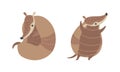 Cute Armadillo Character with Armor Shell Curled Up and Standing Vector Set