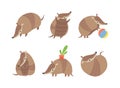 Cute Armadillo Character with Armor Shell Engaged in Different Activity Vector Set