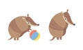 Cute Armadillo Character with Armor Shell Playing with Ball and Standing Vector Set