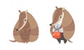 Cute Armadillo Character with Armor Shell Sitting and Standing in Office Suit with Briefcase Vector Set