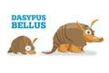 Cute armadillo family. Vector illustration of pleistocene baby, young and adult wild animals armadillo.