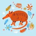 Cute armadillo hand drawn flat cartoon vector illustration. Funny exotic tropical animal with flowers, leaves, blossom