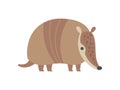 Cute Armadillo Pleistocene Animal Cartoon Vector Illustration Royalty Free Stock Photo