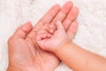 Cute asian baby newborn close up Royalty Free Stock Photo