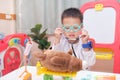 Cute Asian boy in doctor uniform having fun playing doctor with plush toy at home, kid wearing stethoscope examine stuffed toys, Royalty Free Stock Photo