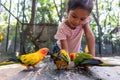 Asian child girl having fun to feed parrot birds in the zoo