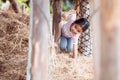 Cute asian child girl having fun to play with hay stack Royalty Free Stock Photo