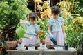 Cute asian child girl helping mother planting or cutivate the plants. Mom and daughter engaging in gardening at home. Happy activi Royalty Free Stock Photo