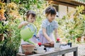 Cute asian child girl helping mother planting or cutivate the plants. Mom and daughter engaging in gardening at home. Happy activi Royalty Free Stock Photo