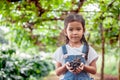 Cute asian child girl holding bunch of red grapes Royalty Free Stock Photo
