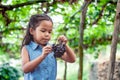 Cute asian child girl holding bunch of red grapes Royalty Free Stock Photo