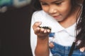 Cute asian child girl holding and playing with black caterpillar Royalty Free Stock Photo