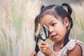 Asian child girl looking the ears of wheat through a magnifying glass in the barley field Royalty Free Stock Photo