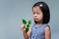 Cute Asian child girl is looking at a small treetop in her hand. Sapling of tree is in hands of the kid seeds of living plants.