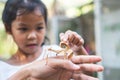 Cute asian child girl looking and touching leaf grasshopper that stick on parent hand with curious and fun