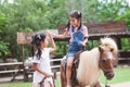 Cute asian child girl riding a pony and making hi five gesture Royalty Free Stock Photo