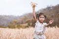 Asian child girl running and playing with toy wooden airplane in the barley field at sunset time with fun Royalty Free Stock Photo